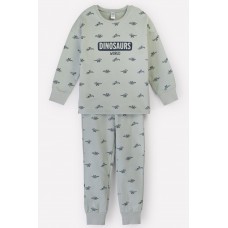 Теплая пижама с динозаврами для мальчика