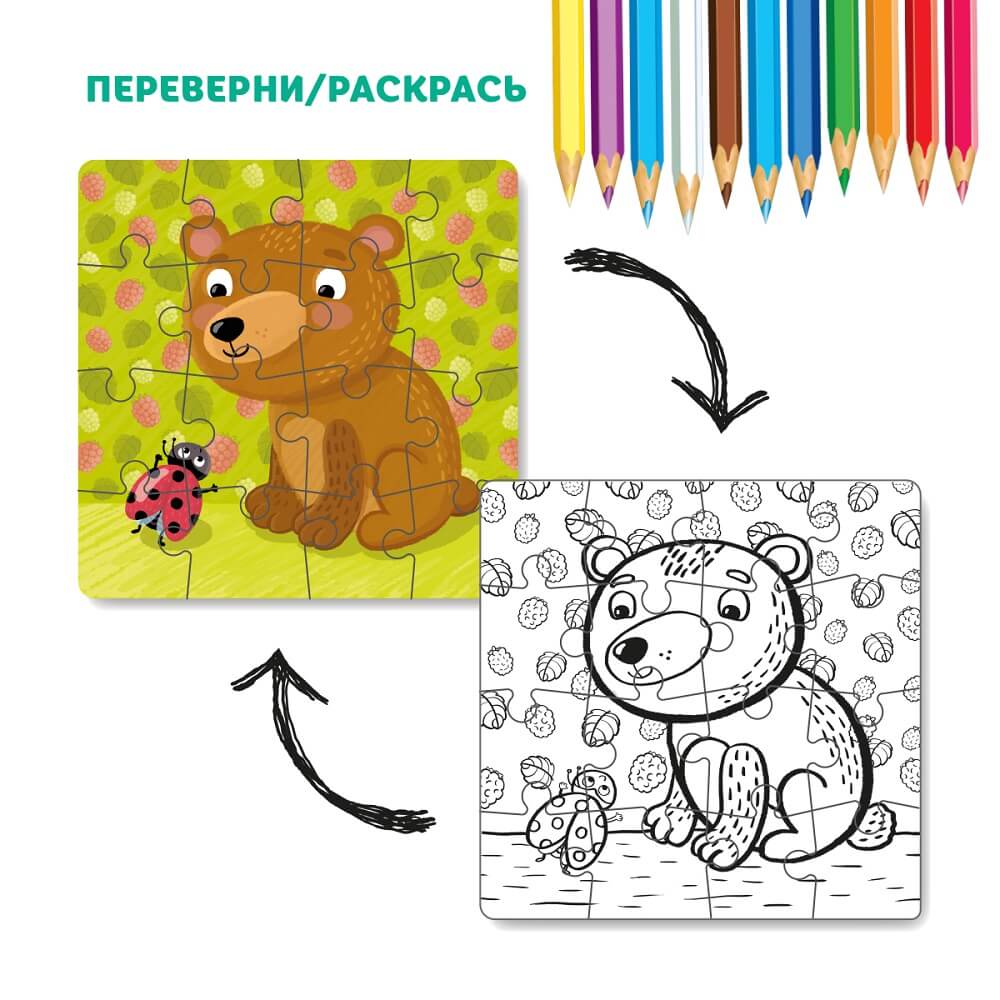 Puzzle coloring 2-in-1 "Teddy" Art. R300120