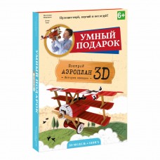 Конструктор ГЕОДОМ Аэроплан 3D + книга 4090