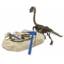 Брахиозавр Раскопки ископаемых животных набор KONIK Science