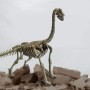 Брахиозавр Раскопки ископаемых животных набор KONIK Science
