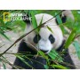 Стерео пазл PRIME 3D Большая панда 10071
